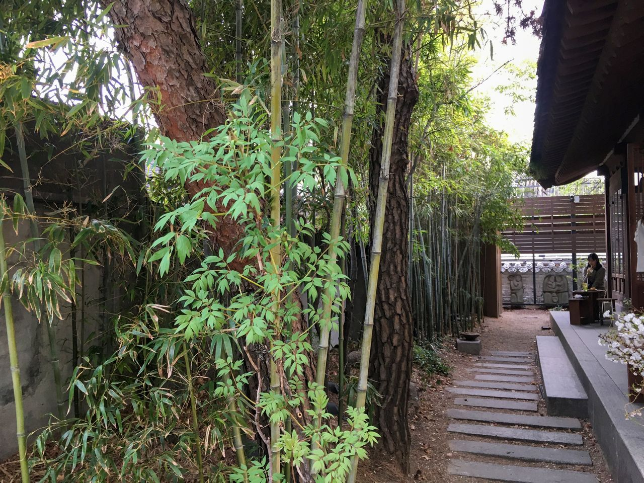 Almost Home Art Sonje Branch | Gyeongbokgung, A tranquil hanok cafe with traditional desserts2025 Updated List of Cafes around the Palace, Cafe recommendations, gyeongbokgung palace