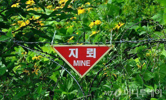 韓國非武裝地帶內的紅色地雷警告標志，顯示此區域的高危險性及禁止進入的警告。