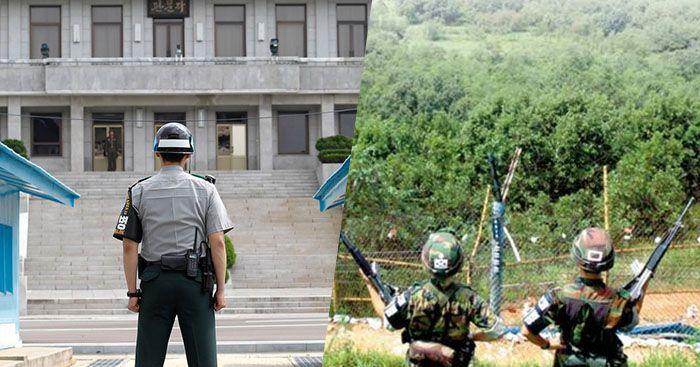 南北韓非武裝地帶(DMZ)