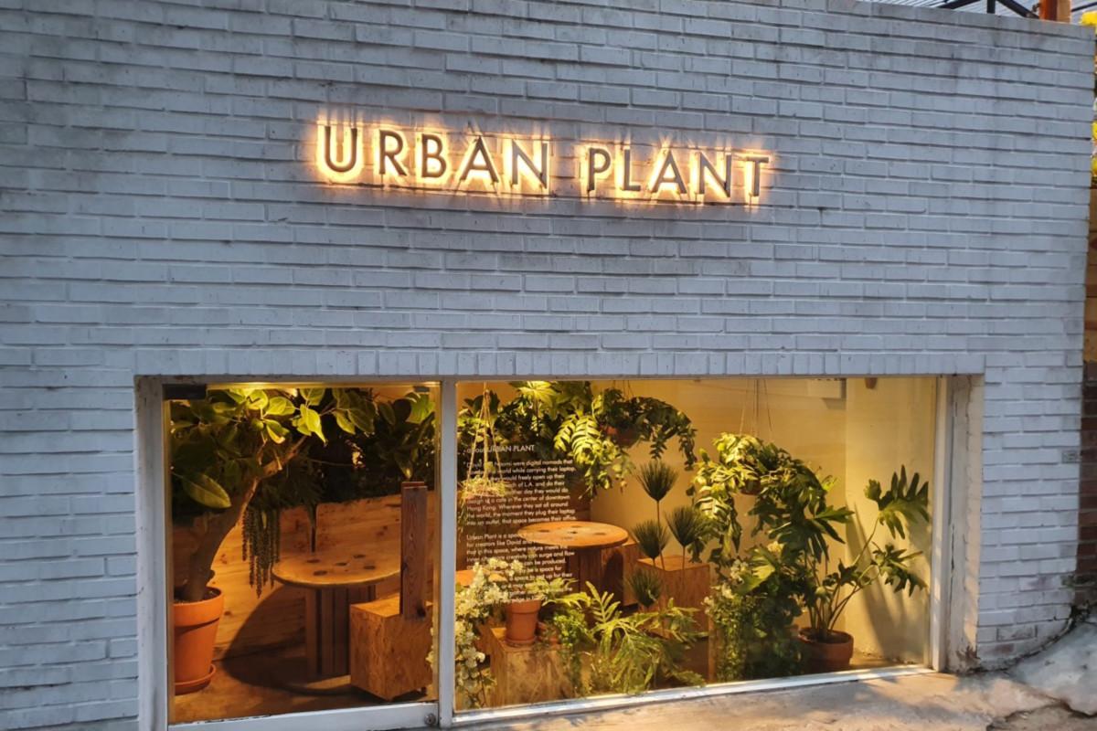 서울특별시 마포구の「URBAN PLANT」カフェ外観。多くの緑に囲まれたモダンな建物の様子。