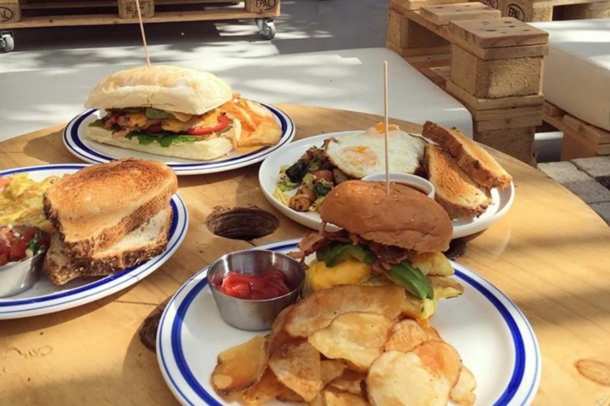 「URBAN PLANT」カフェで提供されるブランチメニューの一部。色とりどりのサンドイッチとオムレツが特徴的。