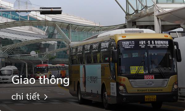 Ngồi nhà hanok truyền thống nổi bật giữa dãy phố Seochon, gần bên Gyeongbokgung. Đắm chìm trong vẻ đẹp nền nã của di sản văn hóa Hàn.