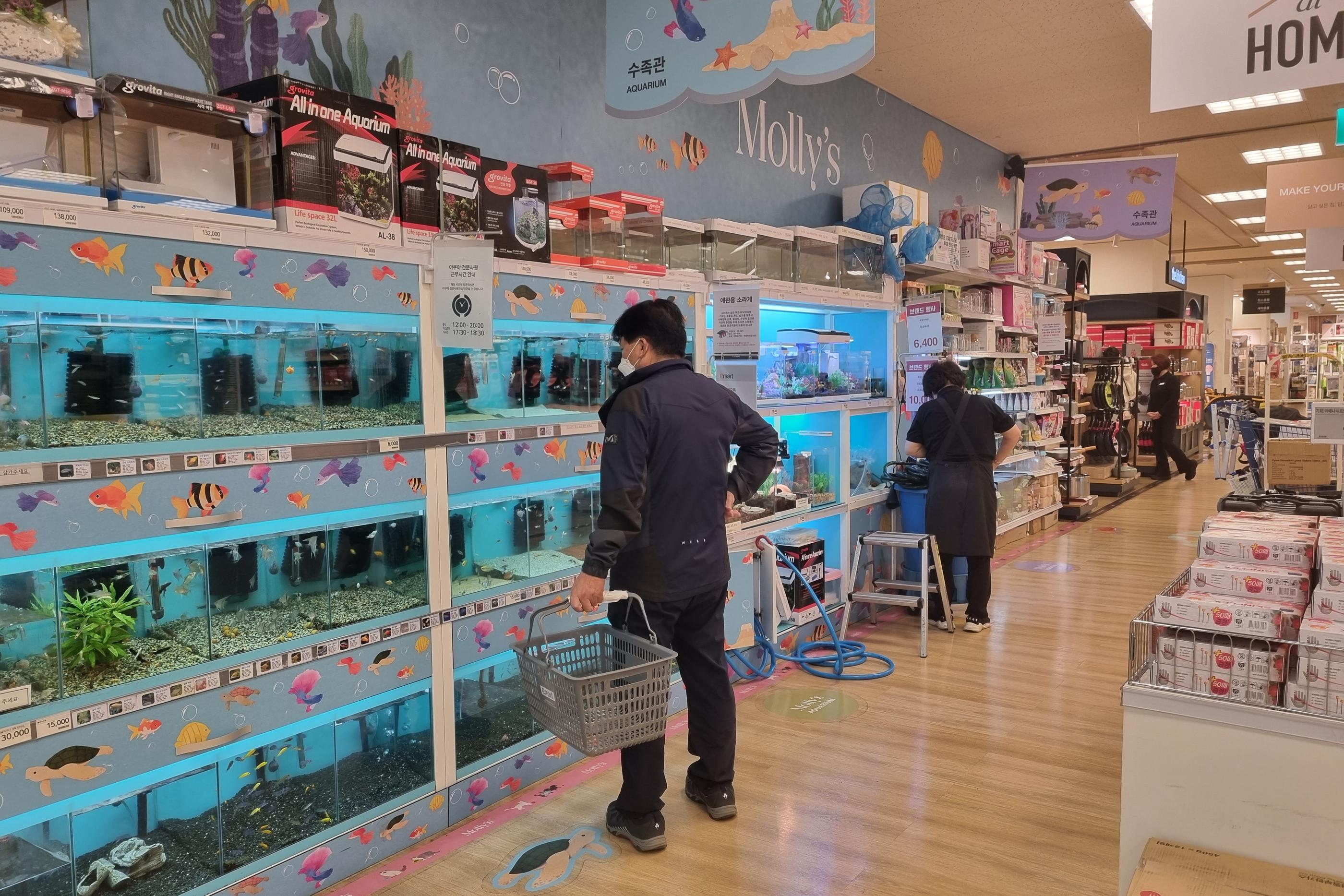 韓国旅行、韓国お土産、韓国ショッピング、韓国マート、韓国スーパー、emart、イーマート、ノーブランド、NoBrand、韓国巨大スーパー、韓国大型スーパー、永登浦店、永登浦、イーマート永登浦店、emart永登浦店、emartセルフレジ、韓国セルフレジ、セルフレジ、韓国お菓子、韓国食材、韓国ラーメン、永登浦タイムズスクエア、タイムズスクエア、韓国タイムズスクエア