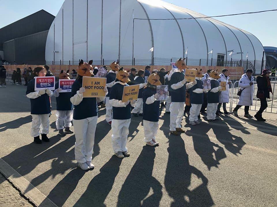 团队穿着一致的抗议者，高举“不是食物”的标语牌。