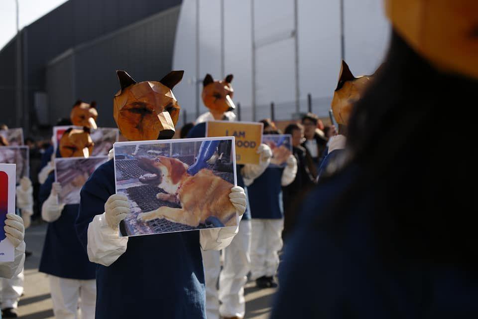 抗议者戴着狗头面具，在行进中举着图像展示牌。