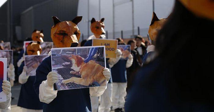 七个具有冲击性的韩国文化