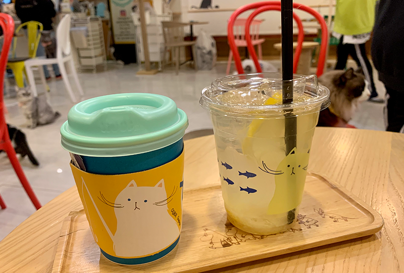 韓国、韓国旅行、ソウル、ソウル旅行、明洞、ミョンドン、明洞アクティビティ