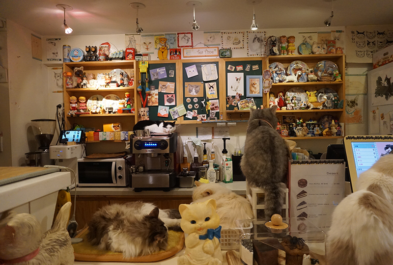 韓国、韓国旅行、ソウル、ソウル旅行、明洞、ミョンドン、明洞アクティビティ