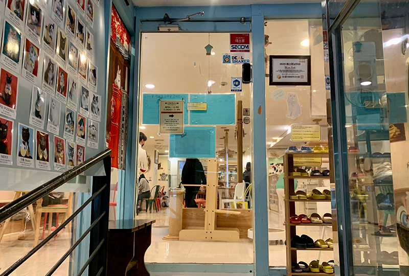 韓国、韓国旅行、ソウル、ソウル旅行、明洞、ミョンドン、明洞アクティビティ