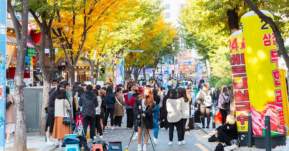 A Complete Guide To The Best Ginkgo Tree Spots