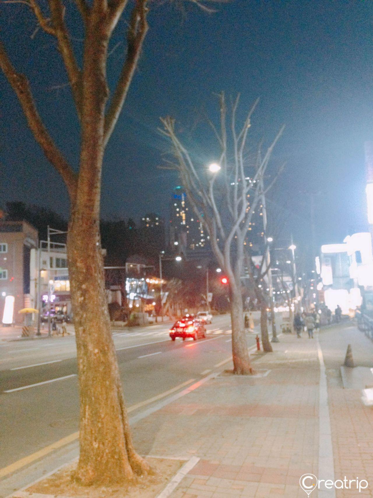 中国 韩国街道夜景，人行道上树木排列，繁忙的城市氛围。