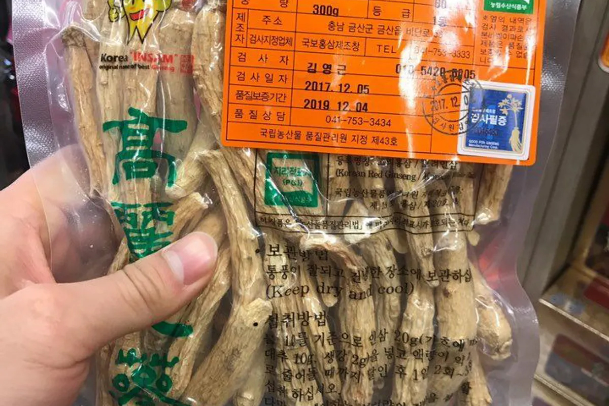 人蔘 韓國 祭基洞