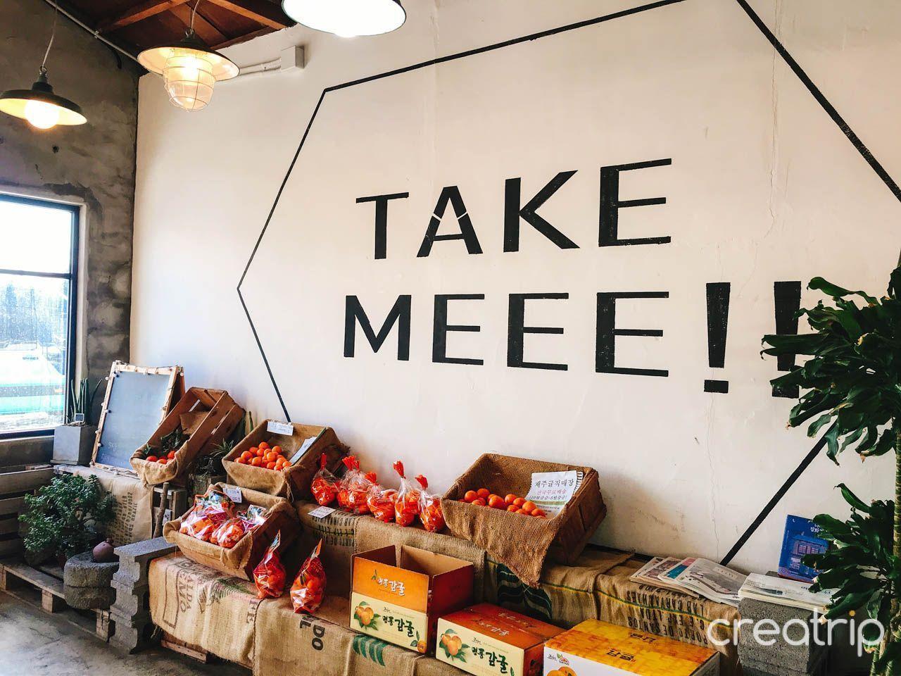 2025 Jeju Island Top 10 Cafe Recommendations