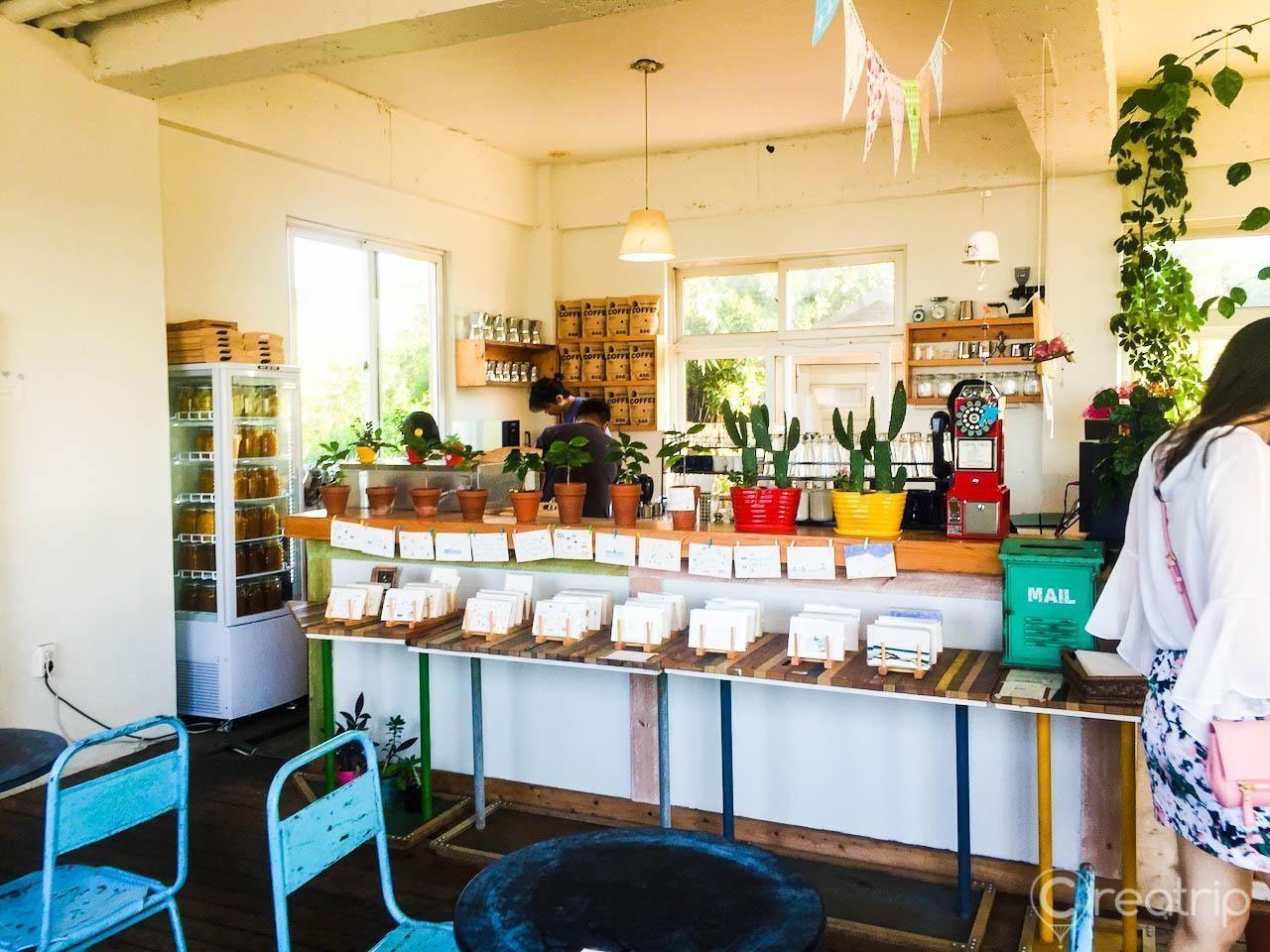 2025 Jeju Island Top 10 Cafe Recommendations