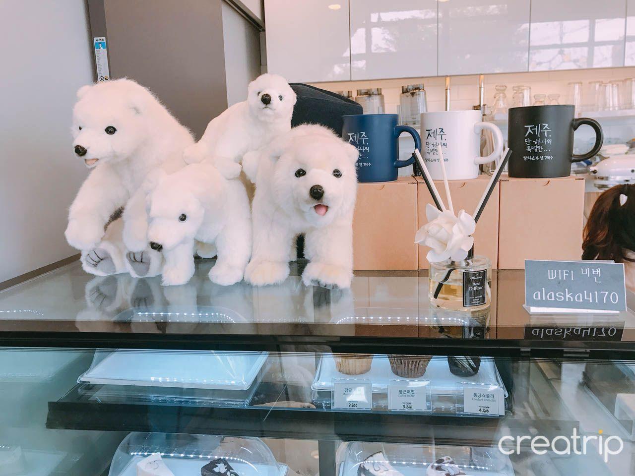 2025 Jeju Island Top 10 Cafe Recommendations