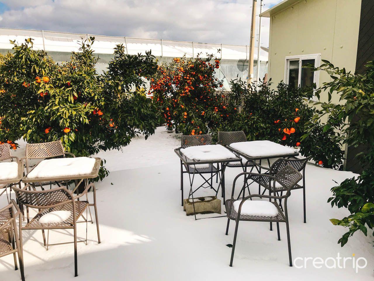 2025 Jeju Island Top 10 Cafe Recommendations