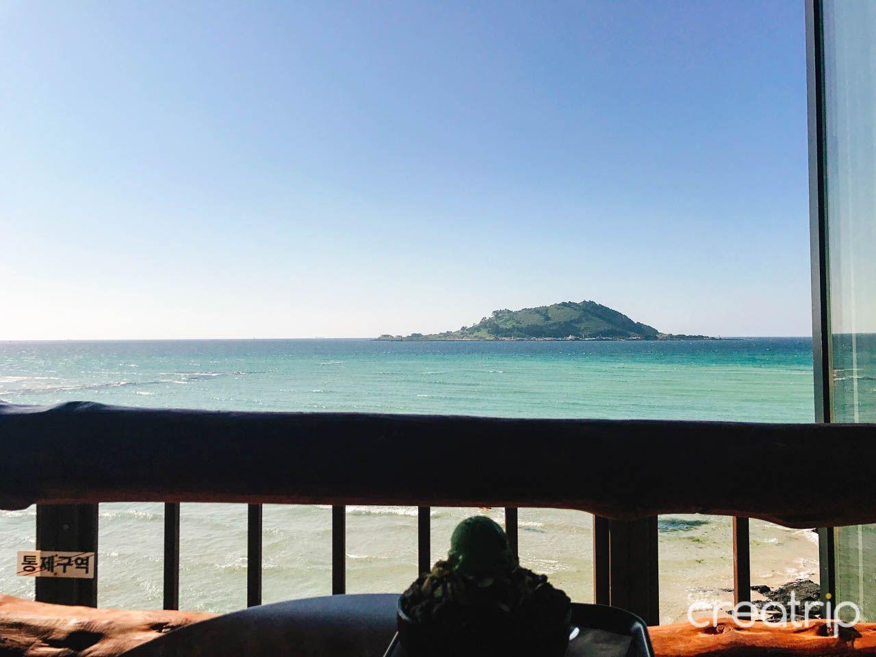 2025 Jeju Island Top 10 Cafe Recommendations