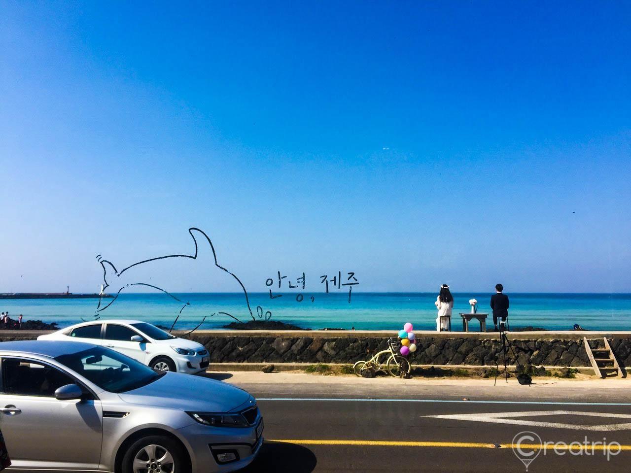 2025 Jeju Island Top 10 Cafe Recommendations