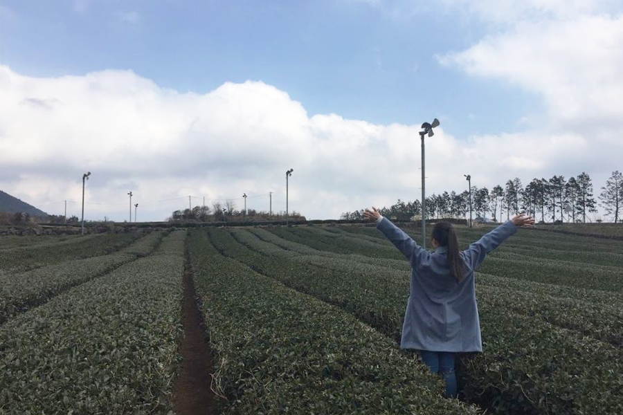 濟州島咖啡廳2025