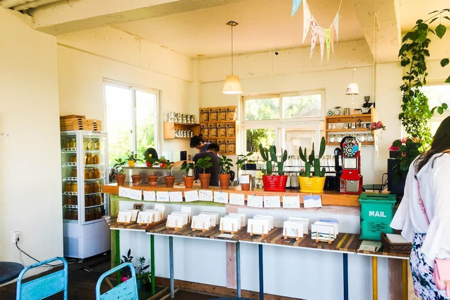 濟州旅遊 咖啡廳