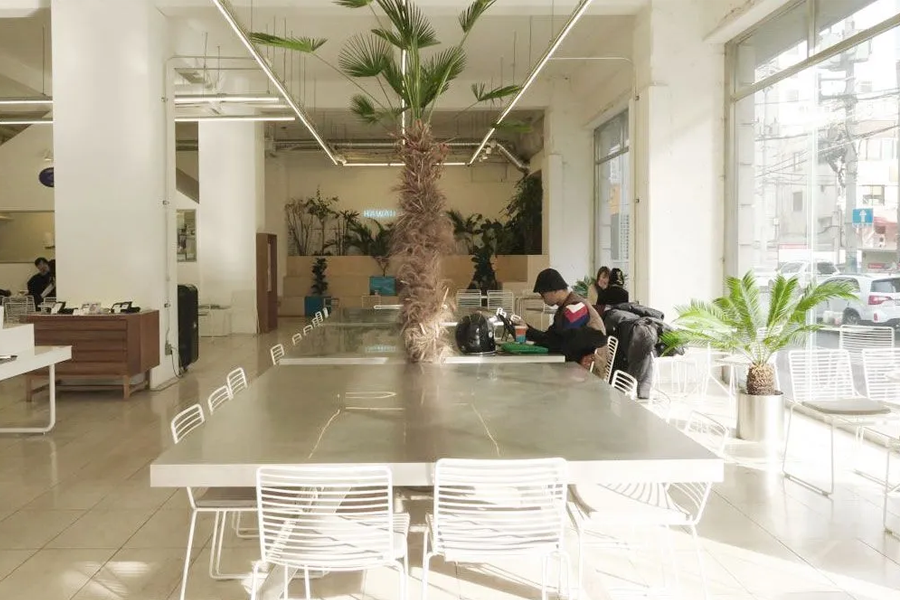 首爾明洞 咖啡廳 必去明洞咖啡店 明洞咖啡廳推薦