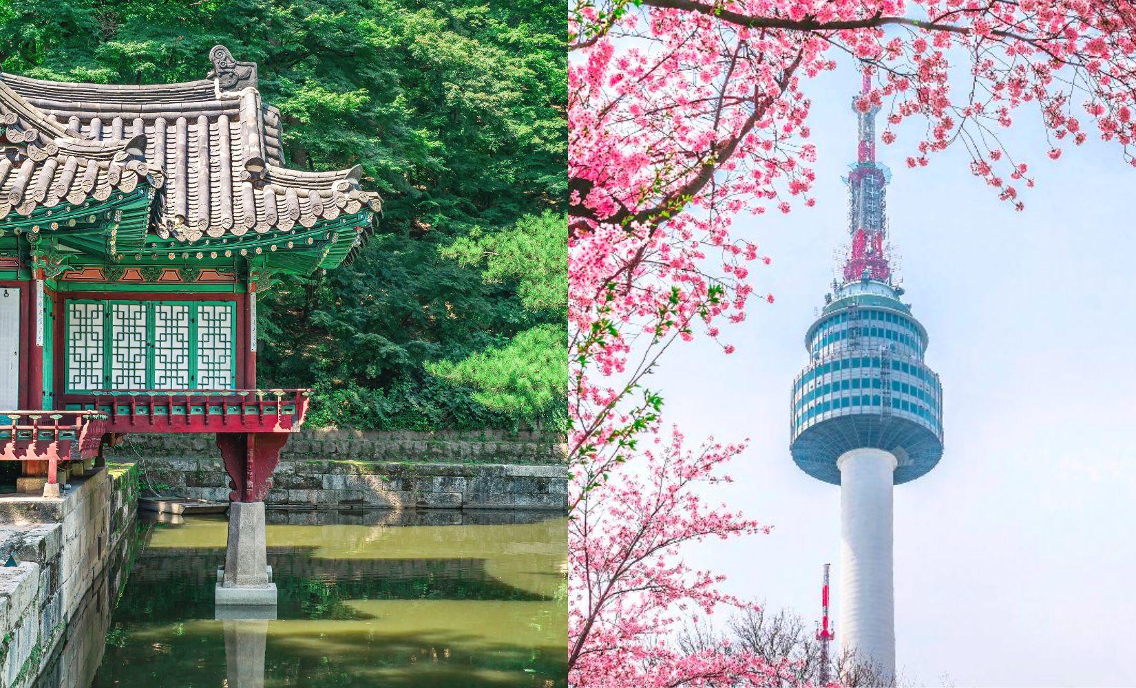 Hướng dẫn du lịch Hàn Quốc tự túc mới nhất năm 2022 từ A-Z