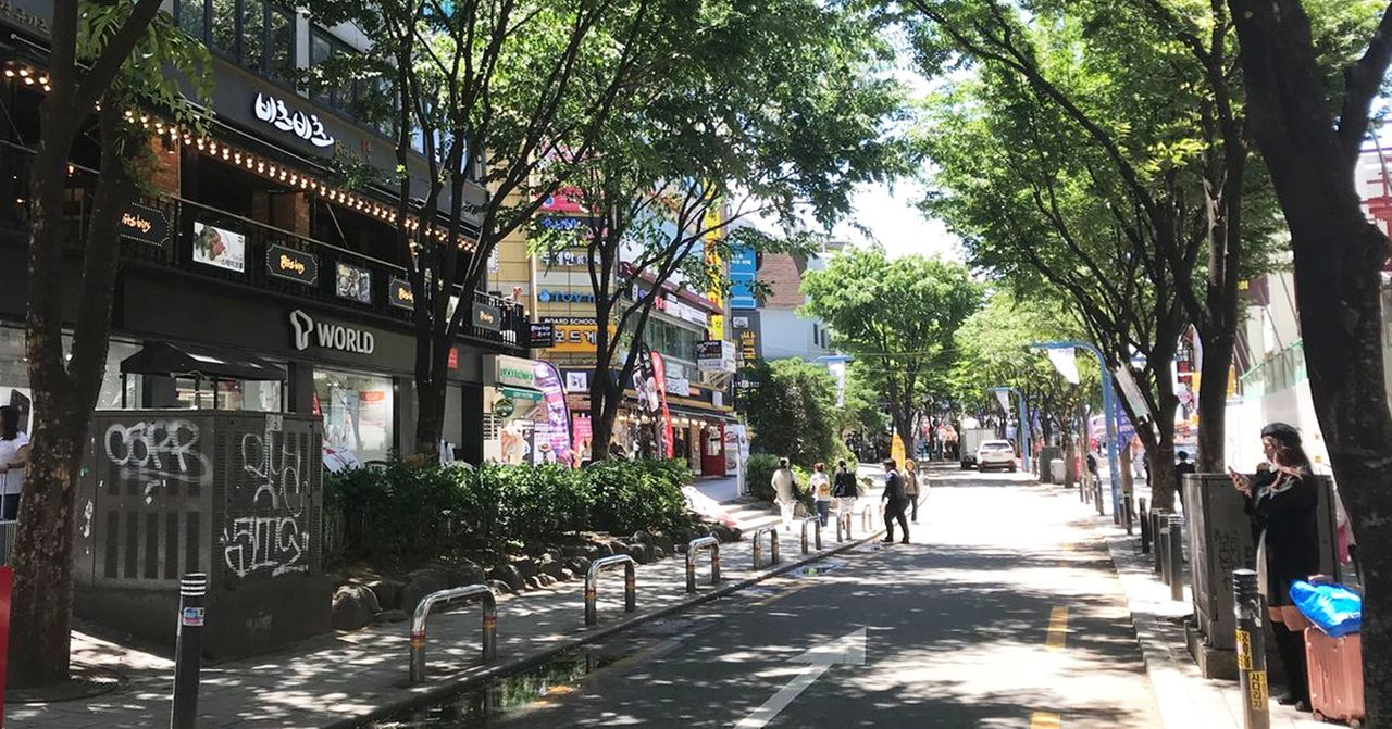 Tree-lined street in Seoul with vibrant commercial shops and pedestrians