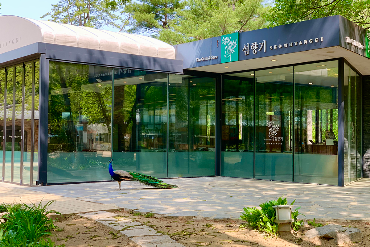 南怡島 SEOM HYAN GGI