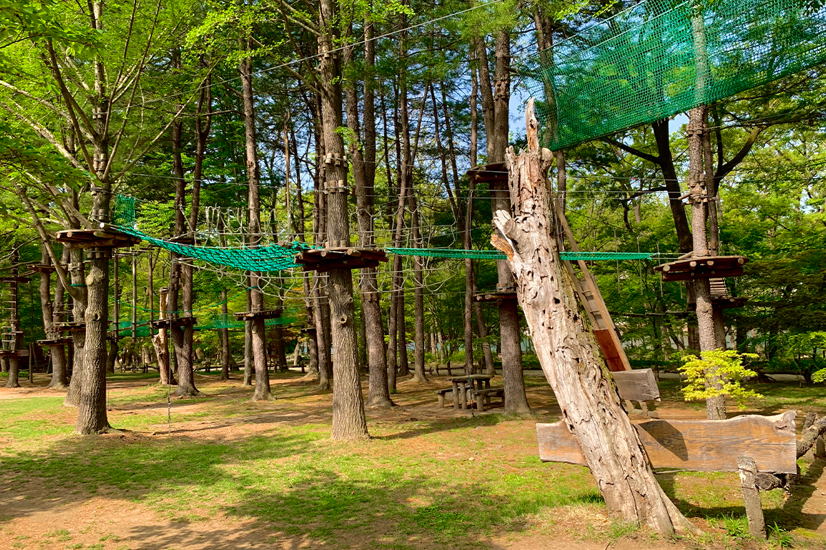 南怡島 冒險中心 玩