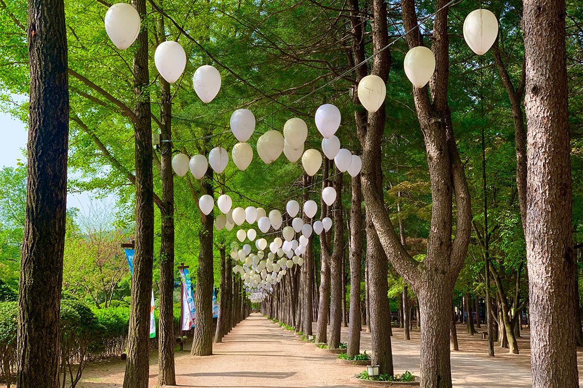 Đảo Nami