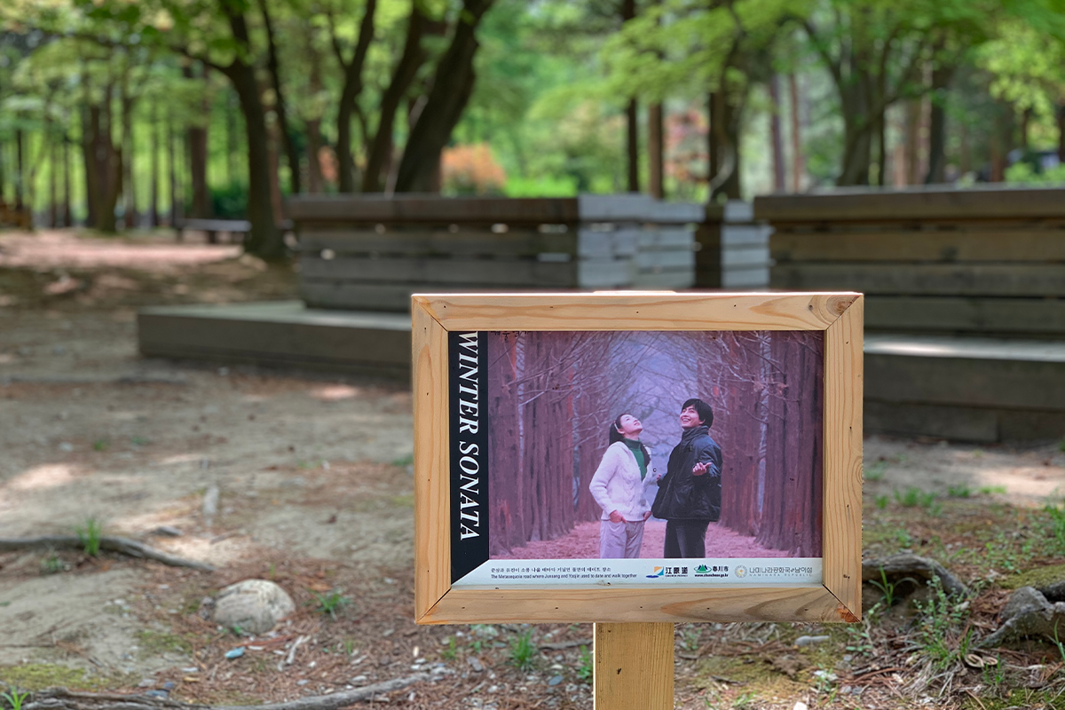 南怡島打卡 冬季戀歌