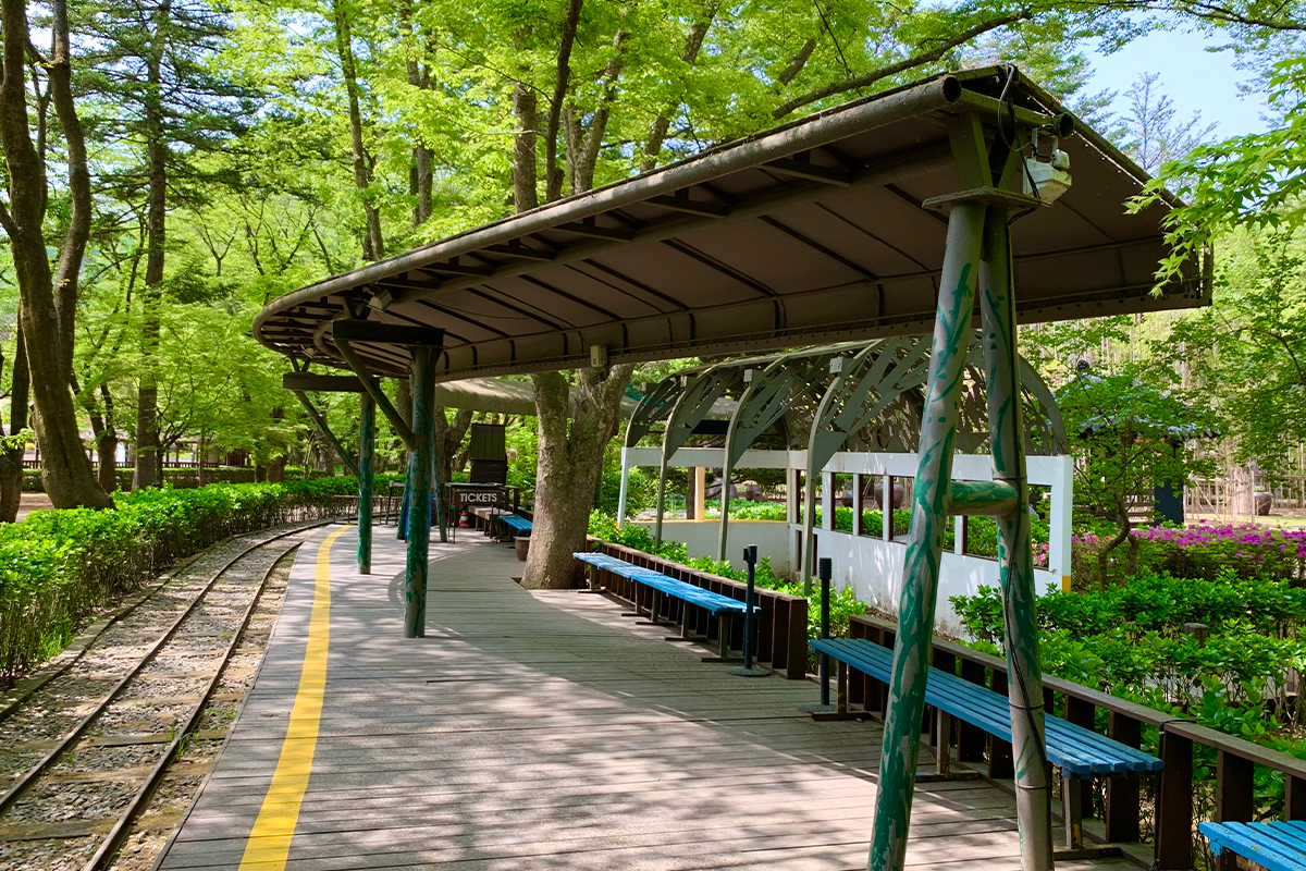 共享列車 中央站