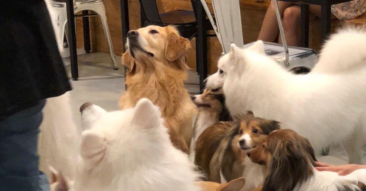 热门韩国体验推荐