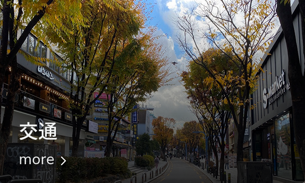 弘大の街路は、紅葉が美しく並ぶ観光通り