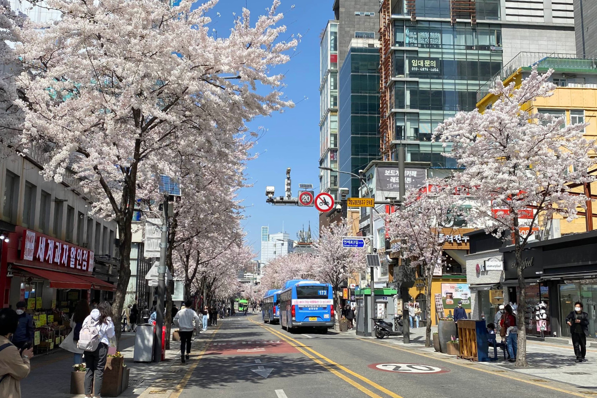 Top Things To Do in Hongdae | The Ultimate Guide to Hongdae