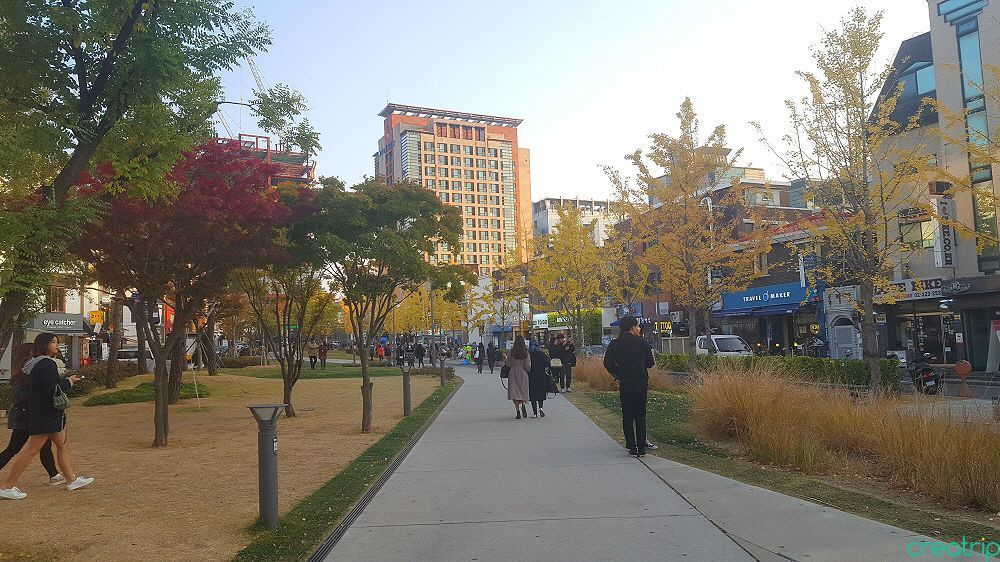 弘大近くの公園で、秋の穏やかな一日を楽しむ人々の姿