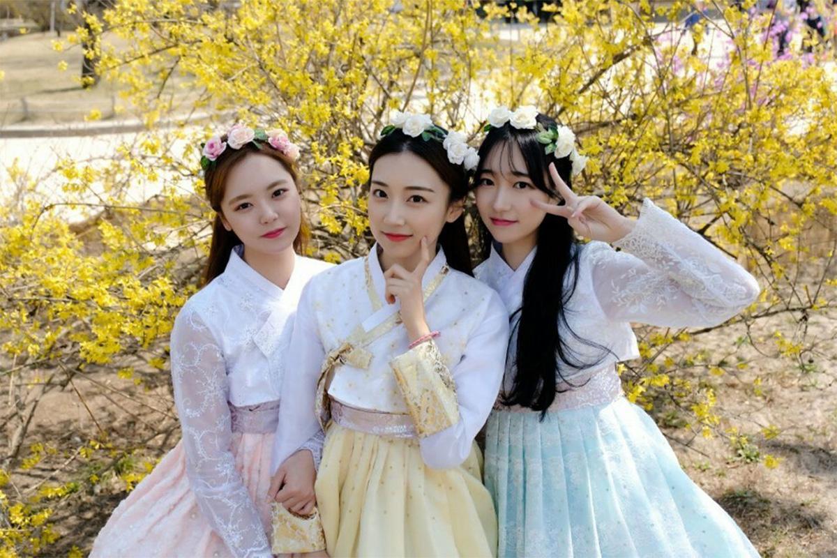 Three friends enjoying springtime in colorful pastel Hanboks, posing in front of blooming yellow forsythias.