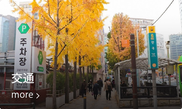 秋の仁寺洞、落ち葉の並木道を歩く人々の写真。訪問者にとってアクセスの便利な交通情報を伝えるセクションの背景として。