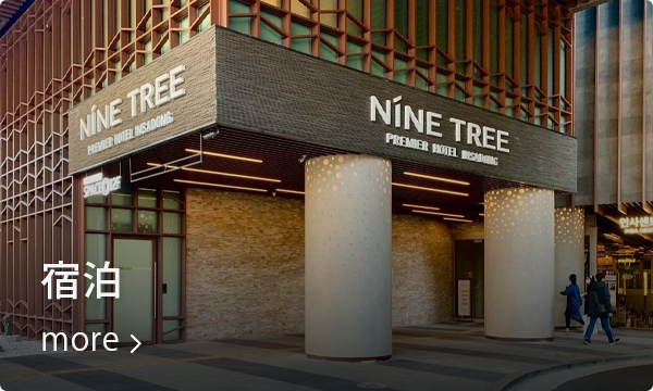 ソウル仁寺洞にあるNINE TREEホテルの外観写真。最近オープンしたモダンな宿泊施設の情報を紹介。