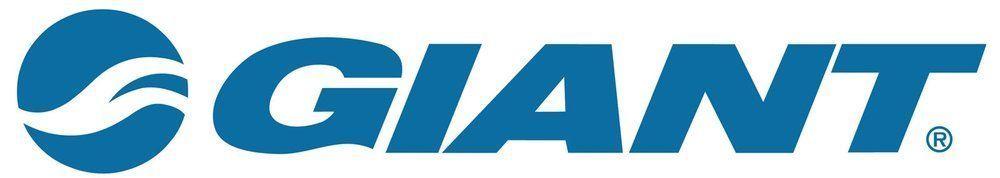 GIANT logo representing the popular Taiwanese bicycle brand in Korea.