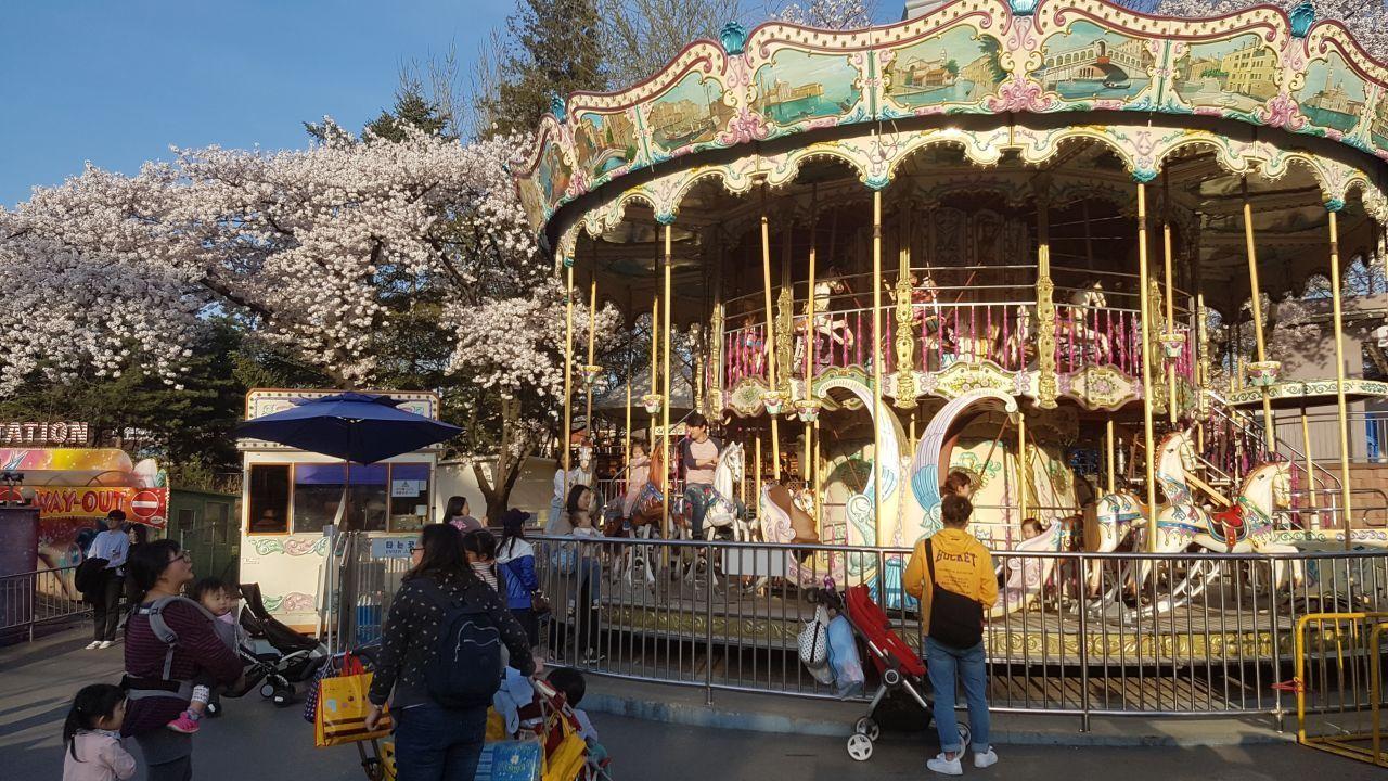 어린이대공원의 회전목마와 벚꽃이 어우러진 풍경 이미지입니다.