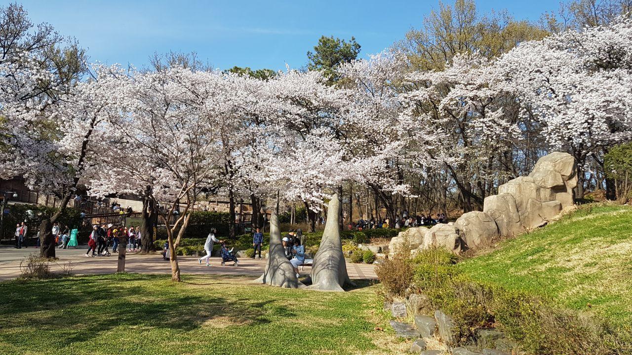 어린이대공원의 다양한 벚꽃 나무와 조각들이 있는 풍경 이미지입니다.