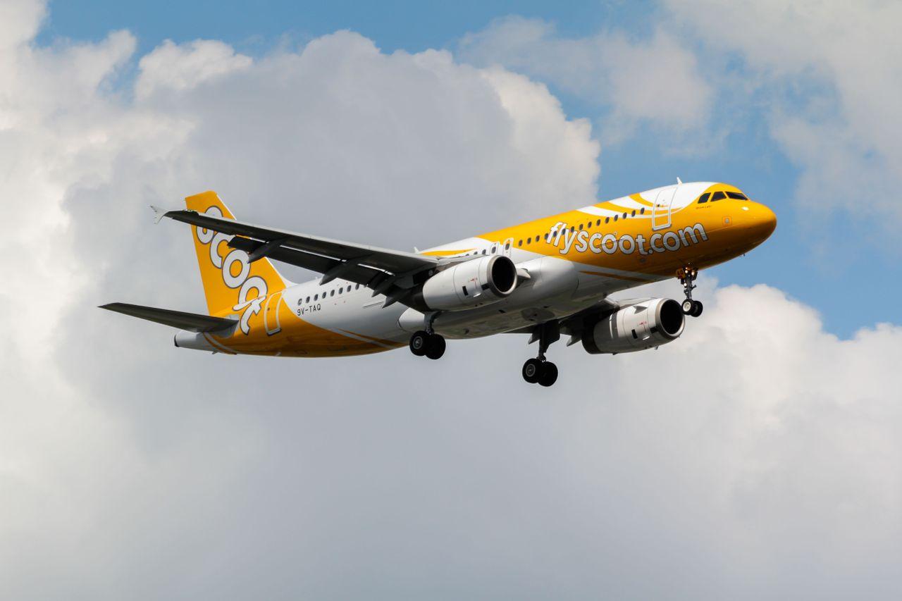 Flights complete. Scoot Airlines. Авиакомпания Scoot официальный сайт. Beautiful Scoot Airlines pictures.