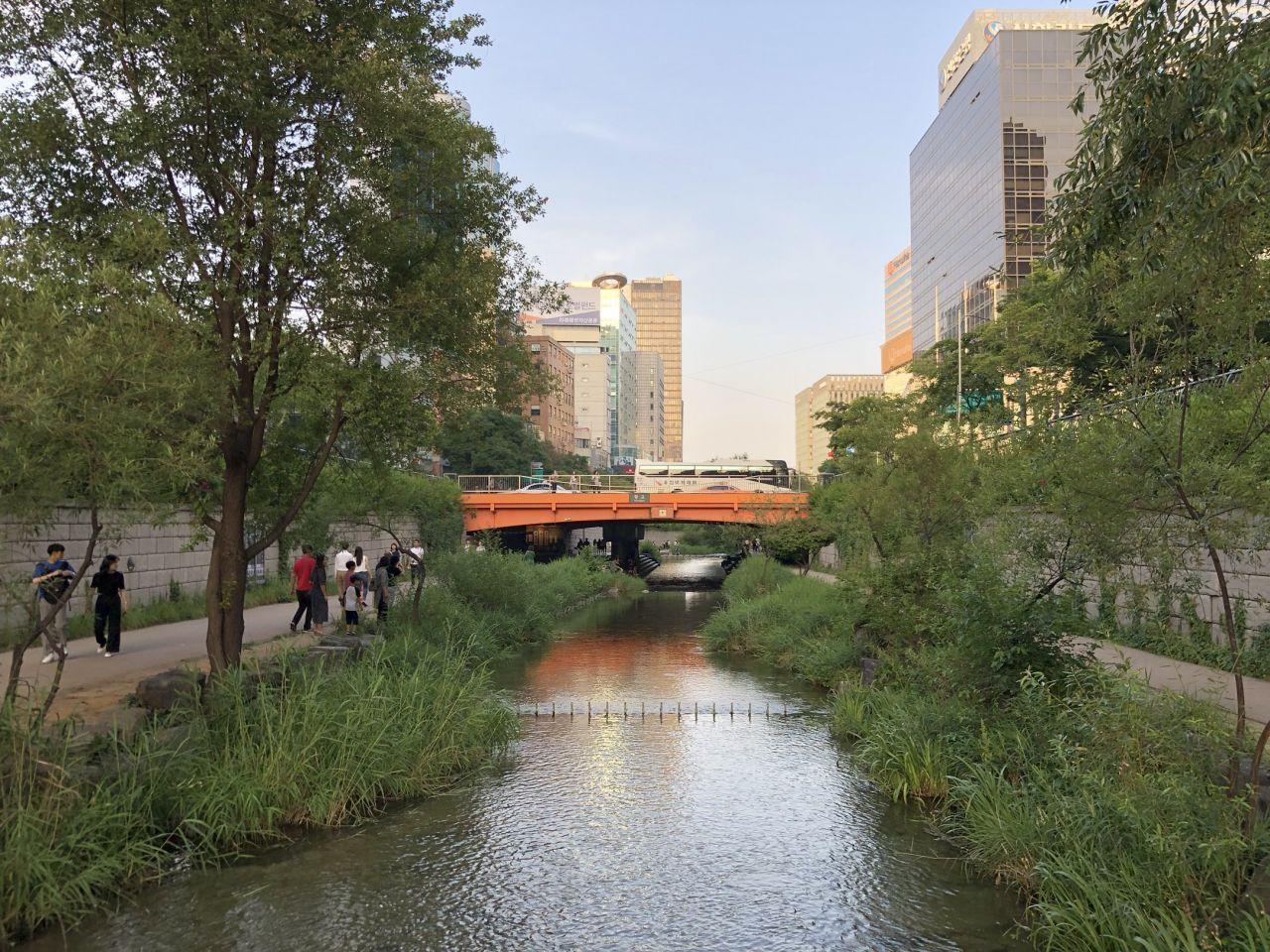 korea, seoul, euljiro, myeongdong, dongwonjib, gamja, soup, tang, sewoon, cafe, jan, bar, manseon hof, restaurant, street food, travel, tour, oppa