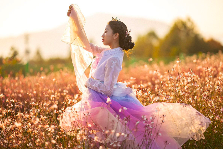 Woman dressed in hanbok gracefully posing in a field of flowers during golden hour.