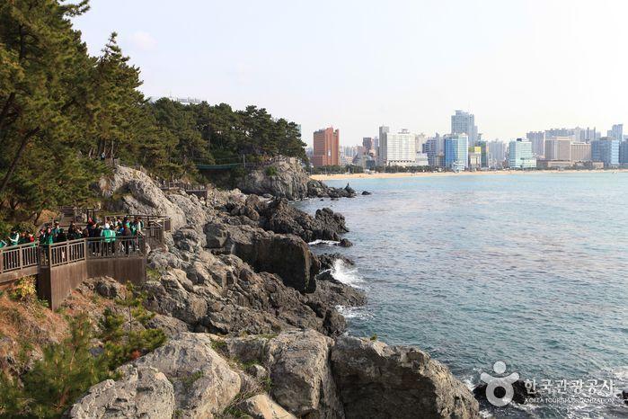 Different from your ordinary trip to Busan! 36 Busan attractions recommended