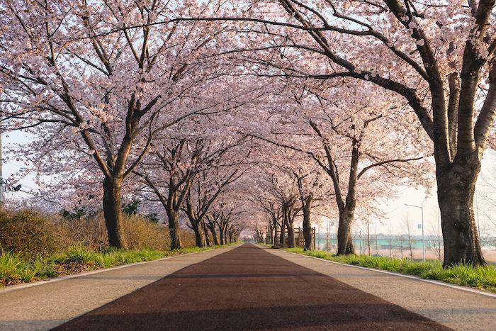 2025釜山必去景點 釜山景點2025 釜山 推薦釜山自由行景點 釜山必去景點 推薦 2025