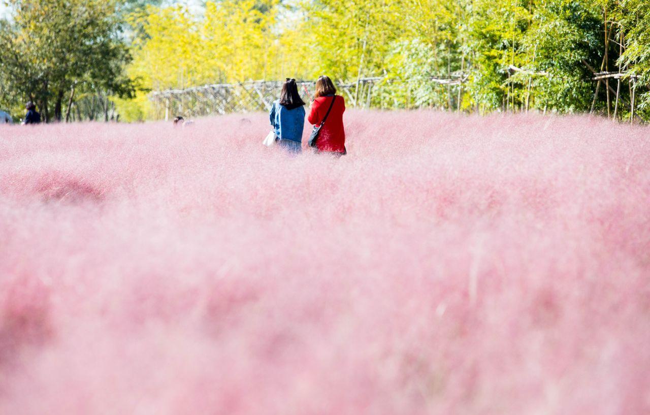 Different from your ordinary trip to Busan! 36 Busan attractions recommended