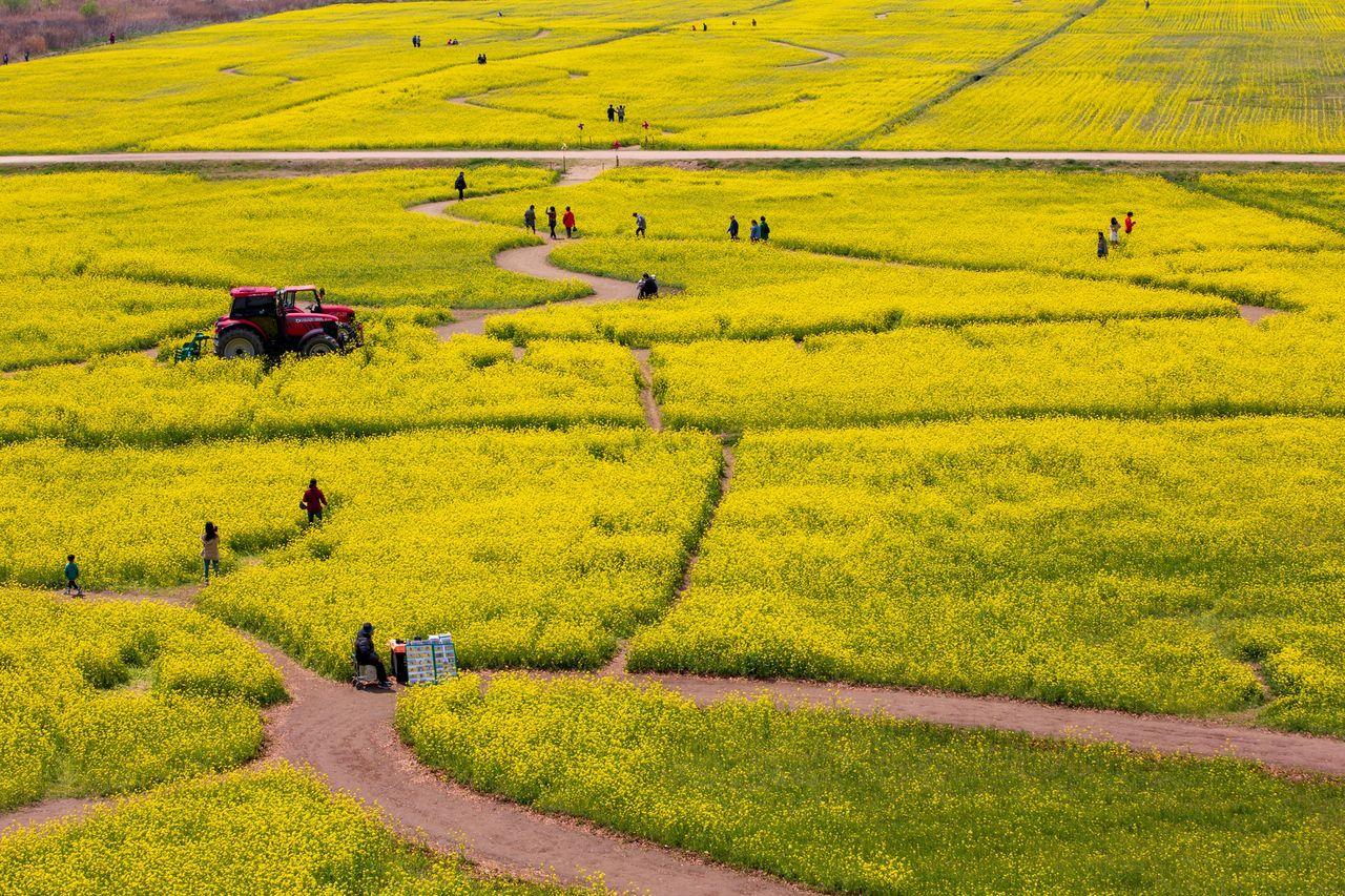 Different from your ordinary trip to Busan! 36 Busan attractions recommended