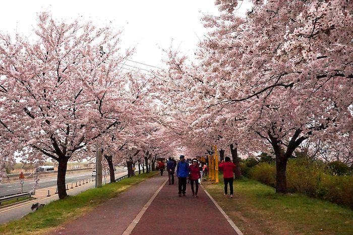 Different from your ordinary trip to Busan! 36 Busan attractions recommended